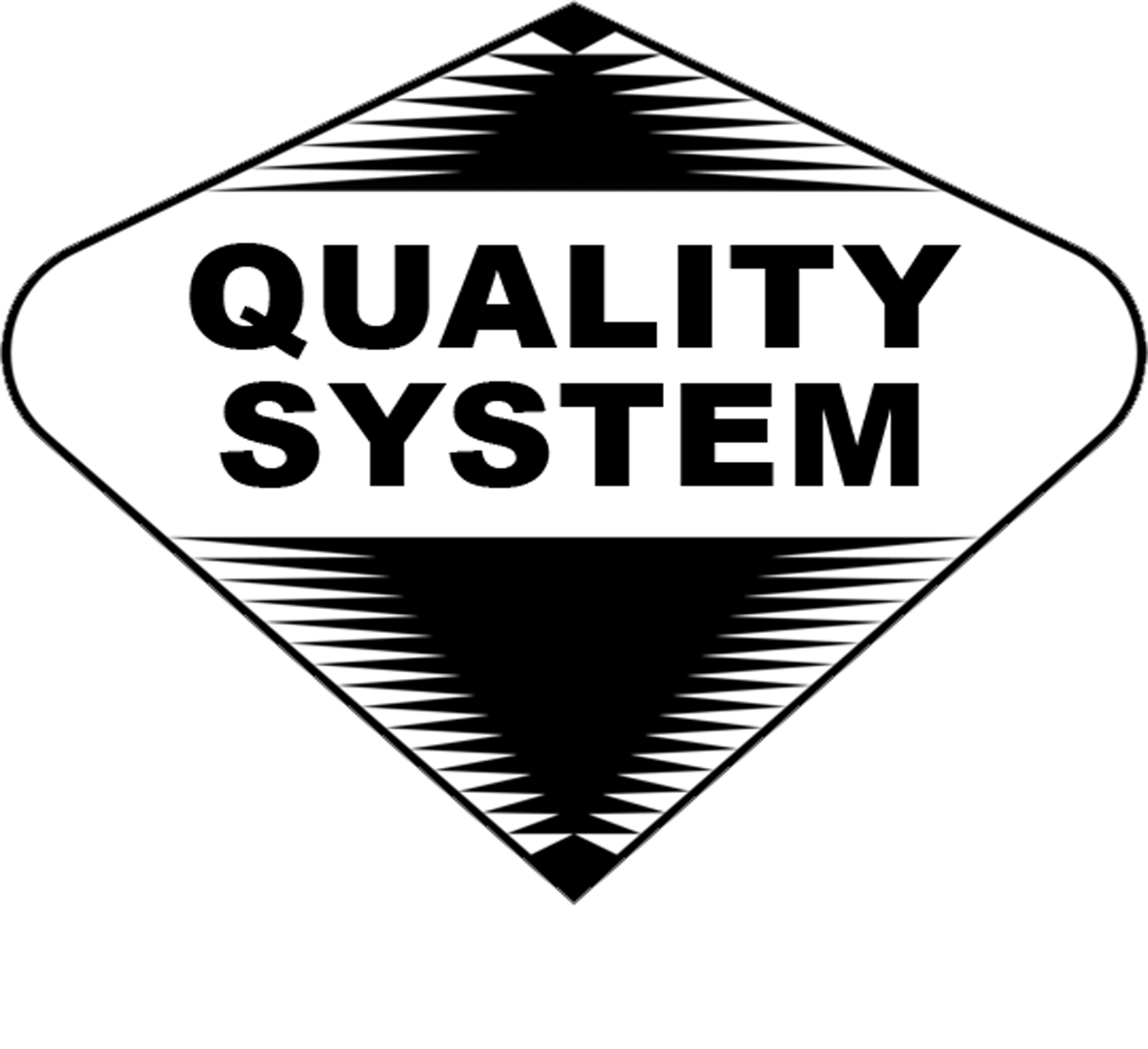 QS LOGO